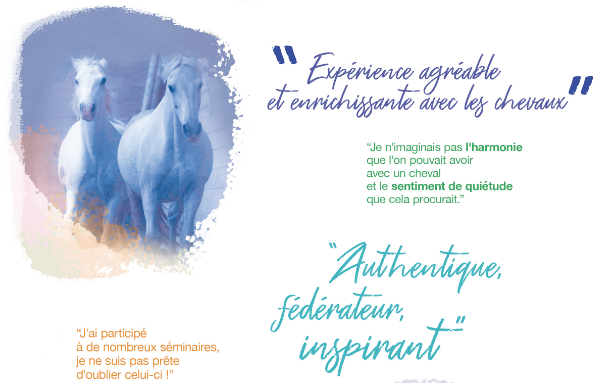 Expérience agréable et enrichissante avec les chevaux